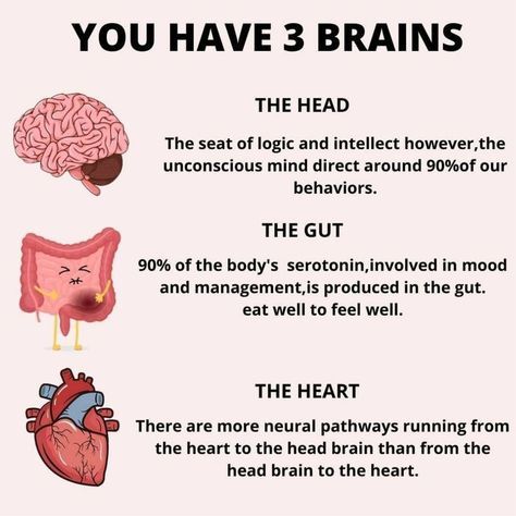 Brain Tips, Glenn Doman, Mitochondrial Health, Memory Retention, Psychology Notes, Heart Brain, Brain Facts, Gut Brain, Mental Health Facts