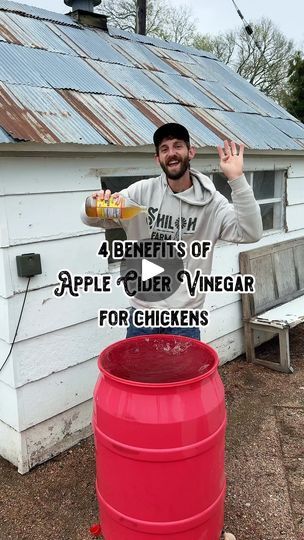 Chicken Fertilizer, Chicken Watering System, Vinegar Chicken, Chicken Care, Feeding Goats, Chicken Pen, Nutrient Absorption, Chicken Farming, Backyard Chicken Farming