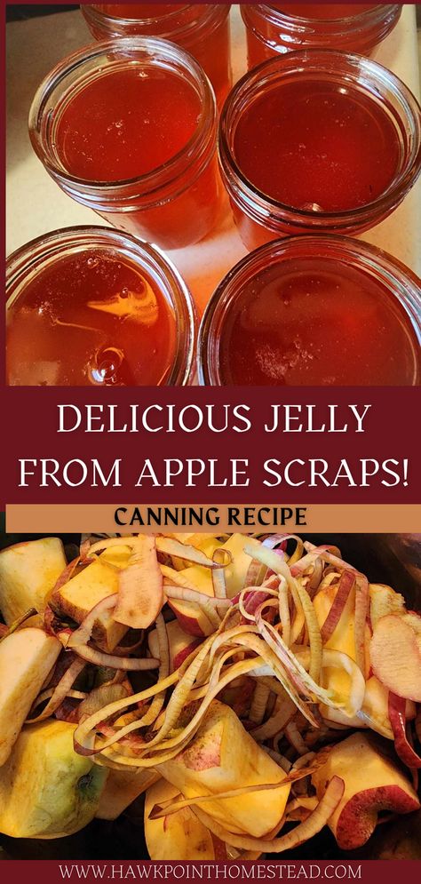 This apple scrap jelly recipe for canning is a delicious jelly recipe made from the scraps, apple peels and apple cores, that are left when preparing apples for other recipes, such as apple pie filling. It is also called apple peel jelly. The jelly has a great flavor and turns out a beautiful color!  Homemade jellies are so great to give as thoughtful gifts. Scrape Apple Jelly, Uses For Apple Peels, How To Make Apple Jelly From Apple Peels, What Can I Do With Apple Peels, Canning Apple Cider Vinegar, Using Apple Peels And Cores, Apple Peel Jelly With Pectin, Pear Jelly From Peels, Apple Peel Jelly Recipe Canning