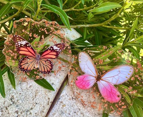 Resin Butterfly, Resin Pens, Resin Tumblers, Resin Coasters, Resin Art, Insects, Coasters, Arts And Crafts, Quick Saves