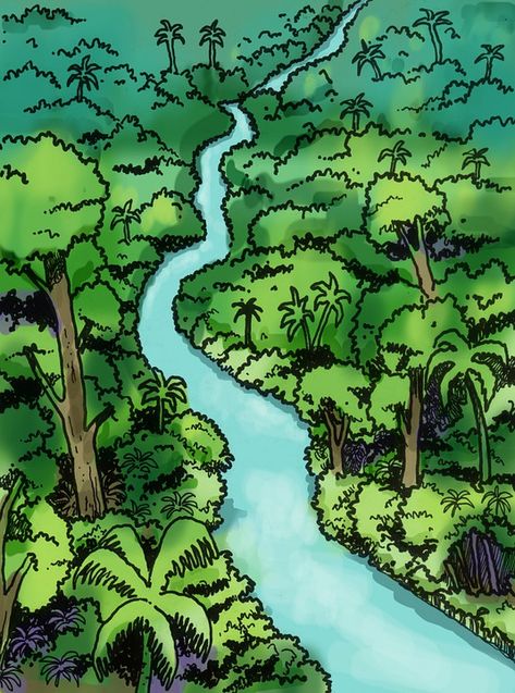 River Rainforest Nature - Free image on Pixabay My River Drawing, How To Draw A Rainforest, Amazon Rainforest Illustration, Tropical Rainforest Drawing, Rain Forest Drawing, Rainforest Sketch, Jungle Drawing Easy, Rainforest Drawing, Rainforest Map