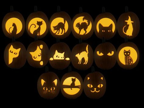 Cat Pumpkin Ideas, Kitty Pumpkin Carving, Pumpkin Cat Carving, Bat Pumpkin Carving, Simple Pumpkin Carving, Black Cat Pumpkin Painting, Crow Pumpkin Carving, Cat Pumpkin Carving Ideas, Black Cat Pumpkin