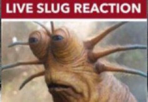 Live Slug Reaction | Klaud / Live Slug Reaction | Know Your Meme Live Slug Reaction, Your Comfort Character, Live Reaction, Slug, Know Your Meme, Star Wars, Thread, Media, On Twitter