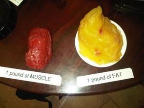 I'll take a muscular body over a fat filled one any day of the week! Fat Vs Muscle, One Pound Of Fat, Lose Inches, Michelle Lewin, Pound Of Fat, Health Motivation, 1 Pound, Body Fat, Build Muscle