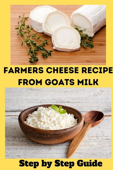 Are you looking to become a cheese making pro? Look no further! This foolproof guide will teach you how to make delicious, creamy farmer cheese from delicious goat milk. Farmer cheese is a type of soft cheese that is made with milk and acid (usually vinegar or lemon juice) and has a slightly sour taste. Follow these steps and you'll be able to make your own homemade cheese in no time. Goats Milk Cheese Recipes, What To Do With Goats Milk, How To Make Goat Cheese At Home, Easy Farmers Cheese, Goat Milk Cheese, How To Make Cheese From Powdered Milk, Goats Milk Cheese, How To Make Homemade Cheese Its, Making Goat Cheese