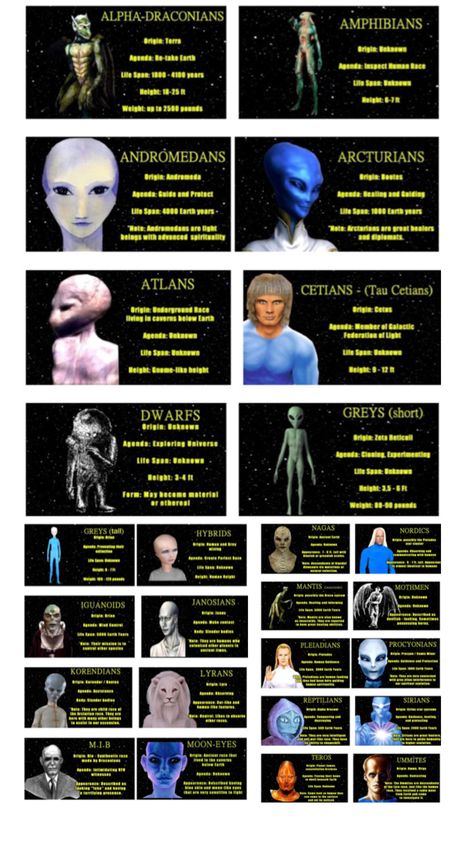 Alien Images, Galactic Art, Types Of Aliens, Aliens History, Alien Species, Alien Encounters, Ancient History Facts, Transformers Decepticons, Aliens And Ufos