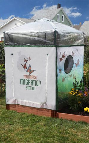 Butterfly Enclosure, Raised Garden Designs, Monarch Migration, Monarch Butterfly Garden, Butterfly Migration, Butterfly Habitat, Butterfly Room, Butterfly Nursery, Butterfly House