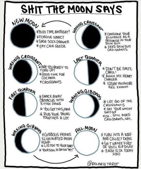 Moon Phase Meanings (Mostly Jokes) The Phases Of The Moon, Which Witch, Moon Journal, New Moon Rituals, Wicca Witchcraft, Phases Of The Moon, Baby Witch, Modern Witch, Spells Witchcraft