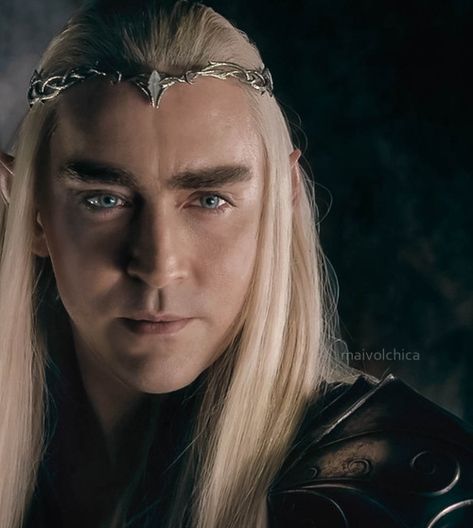 The Hobbit Thranduil, Middle Earth Elves, King Thranduil, Legolas And Tauriel, Elven King, Lee Pace Thranduil, Woodland Realm, 3d Templates, Legolas And Thranduil