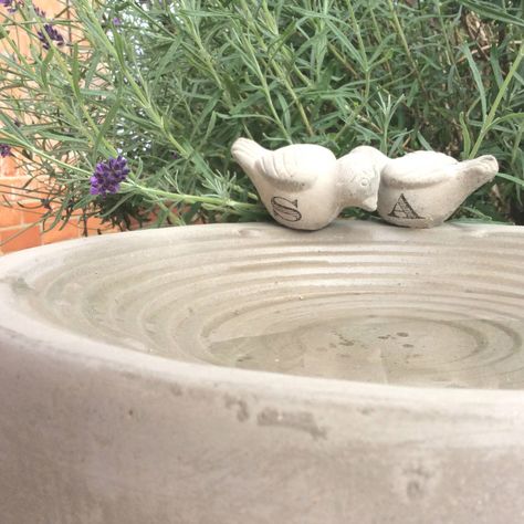 concrete bird bath with bird decoration Clay Bird Bath, New Garden Ideas, Bird Bath Ideas, Round Bird, Concrete Bird Bath, Clay Bird, Bird Baths, Garden Pottery, New Garden