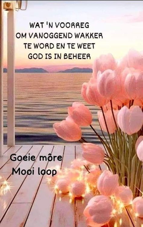 Goeie More Afrikaans, Good Morning Wishes Love, Christelike Boodskappe, Funny Happy Birthday Song, Diy Flower Arrangements, Beautiful Good Night Quotes, Good Morning Greeting Cards, Brave Quotes, Lekker Slaap