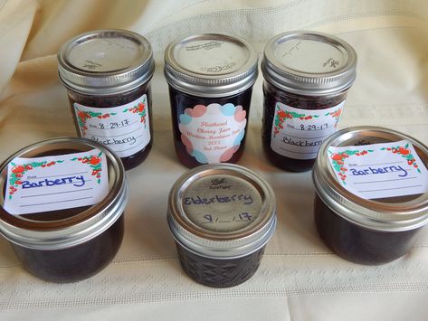 Jelly Without Pectin, Chokecherry Jelly, Gooseberry Jam, Make Jam, Guava Jam, How To Make Jelly, Homemade Jelly, Apple Jelly, Free Fruit