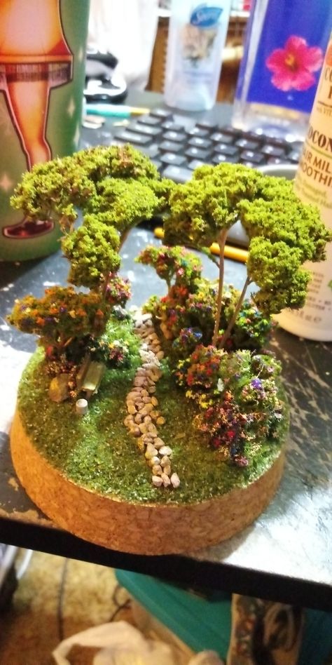 My first attempt at a mini park diorama #crafts Nature Diorama Ideas, Plant Diorama, Park Diorama, Temperate Forest Diorama, Temperate Deciduous Forest Diorama, Terrarium, Plants, Art