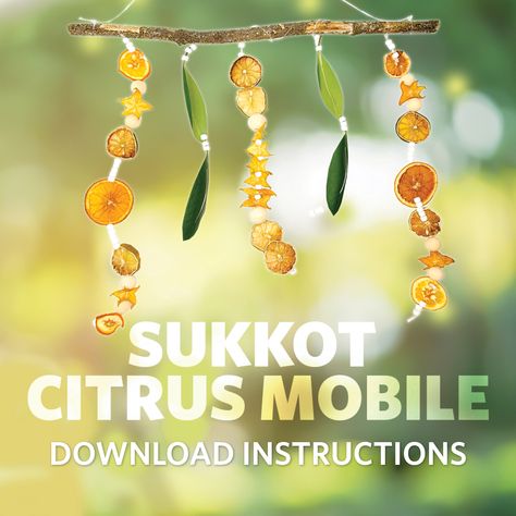 Sukkot Crafts For Toddlers, Sukkot Activities Preschool, Sukkot Preschool Activities, Sukkot Decorations Diy, Sukkot Preschool, Sukkot Crafts For Kids, Sukkot Activities, Sukkot Crafts, Crafts Fir Kids