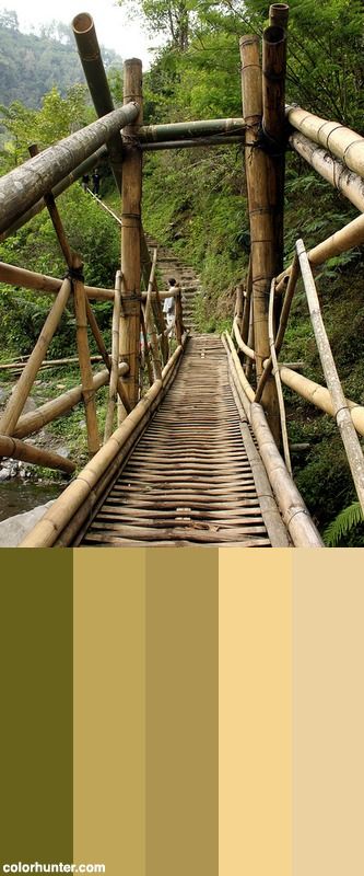 Treteg Pring = Bamboo Bridge Color Scheme Bamboo Color Palette, Bamboo Bridge, Green Palette, Dental Office, Design Concept, Color Pallets, Color Themes, Garden Bridge, Wall Colors