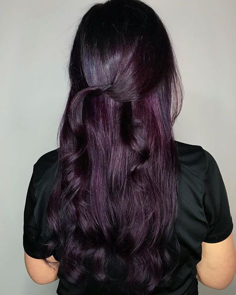 Plum Hair Color Ideas, Plum Hair Dye, Plum Hair Color, Pelo Color Borgoña, Pelo Color Vino, Hair Color Guide, Hair Color Plum, Dark Purple Hair, Plum Hair