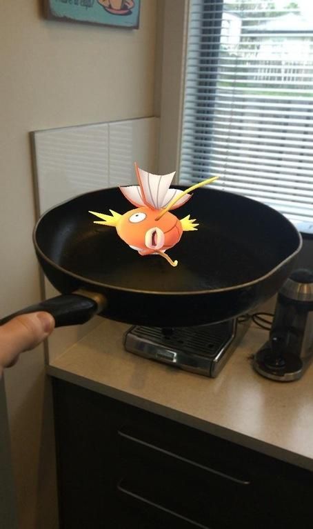 Just cooking my Magikarp, you know, the usual... Funny Pokemon Go, Mega Pokemon, Pokemon Gif, Play Pokemon, Pokemon Memes, Pokemon Funny, All Pokemon, Pokemon Games, My Pokemon