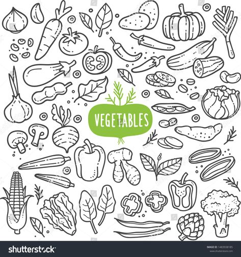 Vegetables doodle drawing collection. vegetable such as carrot, corn, ginger, mushroom, cucumber, cabbage, potato, etc. Hand drawn vector doodle illustrations in black isolated over white background. #Ad , #spon, #corn#carrot#ginger#cucumber Drawing Collection, Sketch Note, Food Doodles, Sketch Notes, Doodle Illustration, Hand Drawn Vector, Creative Icon, Bullet Journal Doodles, Food Drawing