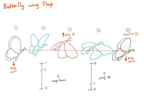 Wings Animation, Animation Drawing Sketches, Principles Of Animation, Learn Animation, Frame By Frame, Animation Storyboard, Frame By Frame Animation, Animation Art Sketches, Animation Sketches