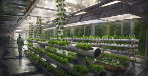 ArtStation - Hydroponics Lab, Eddie Mendoza | Sci-Fi Vegetable and Greenery Laboratory Formal Garden Design, Sci Fi Wallpaper, Spaceship Interior, Sci Fi Environment, Futuristic Interior, Sci Fi Horror, Interior Concept, Hydroponic Gardening, Futuristic Architecture