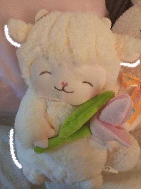 Sheep Plushies, I Love You Gif, Cute Squishies, Desain Quilling, India Photography, Pose Fotografi, Cute Pastel Wallpaper, Drama Funny, Kawaii Plushies