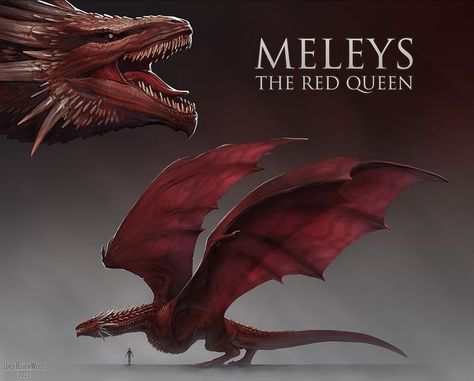 House of dragon Meleys The Red Queen, Dragon Concept, The Red Queen, Dragon House, Game Of Thrones Dragons, Got Dragons, Fantasy Animals, Dragon Artwork Fantasy, Targaryen Art