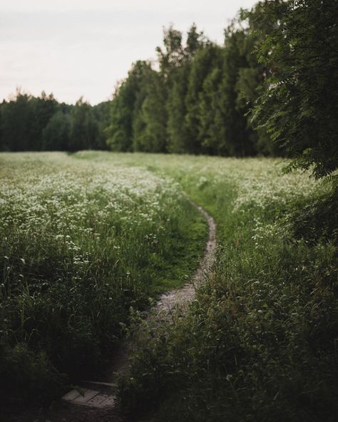 Scandinavian Home Design, Nordic Lifestyle, My Scandinavian Home, Scandinavian Lifestyle, Scandinavian Apartment, Nordic Countries, Countryside House, Summer Cottage, Long Road