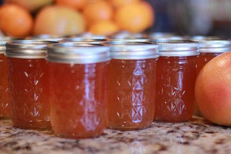 Grapefruit Jelly Recipe, Grapefruit Jelly, Grapefruit Jam, Fruit Butters, Grapefruit Recipes, Food Canning, Homemade Jams, Canning Jam, Ruby Red Grapefruit