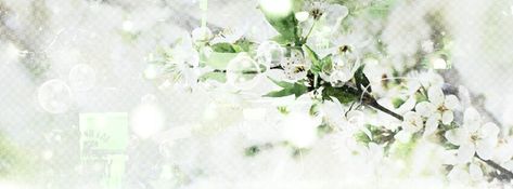 Light Green Header, Light Green Banner, Green Header, Flower Header, Edit Cover, Green Banner, Mint Aesthetic, Geometric Graphic Design, Wattpad Background