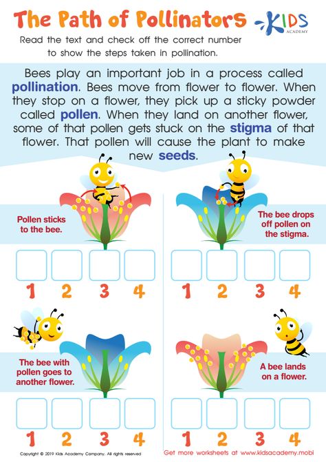 Pollination Science Project, Bee Pollination Activity, Pollination Worksheet, Pollination Activities For Kids, Insect Preschool, Pollination Activity, Comprehension Kindergarten, Bee Project, Stream Ideas