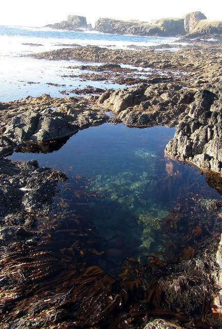 Rock pools Rock Pools Aesthetic, Rock Pools Beach, Rock Pool Aesthetic, Dark Nautical, Lily Core, Summer Moodboard, Watercolor Beach, Rock Beach, Tide Pool