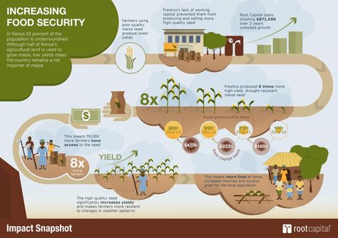 Food Cost, Agricultural Land, Graphic Arts Illustration, Isometric Design, Food Security, Poster Design Inspiration, Climate Action, Environmental Issues, Graphic Arts