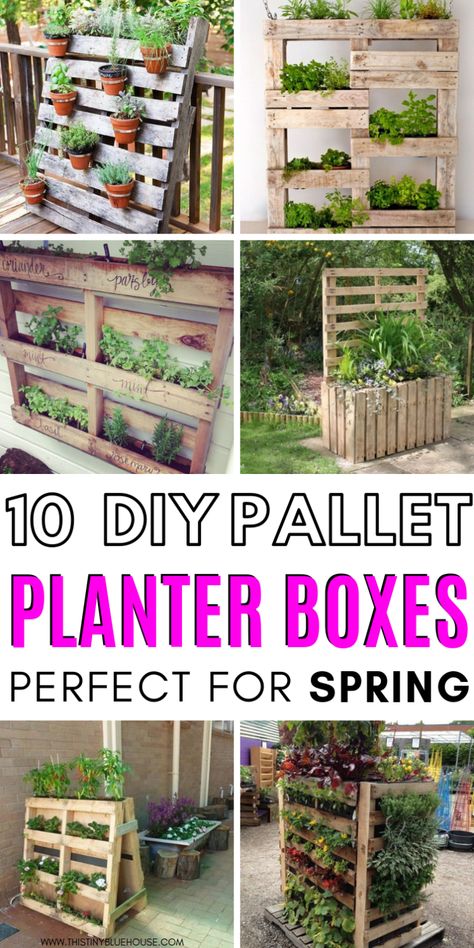 Are you looking for creative fabulous DIY Wood Pallet Planter Boxes? Whether you're interested in planting herbs or veggies these stunning upcycled pallet projects are an innovative way to start growing fresh herbs and veggies from the comfort of your own home. #DIYWoodPalletProjects #DIYWoodPalletProjectsEasy #DIYWoodPalletPlanters #OutdoorWoodPalletPlanters #DIYPlanters #HowToMakeDIYPlanters Pallet Planter Boxes, Diy Pallet Planter, Planter Box Ideas, Pallet Planter Box, Wood Pallet Planters, Diy Wood Pallet, Pallet Projects Garden, Diy Wood Pallet Projects, Diy Planter Box