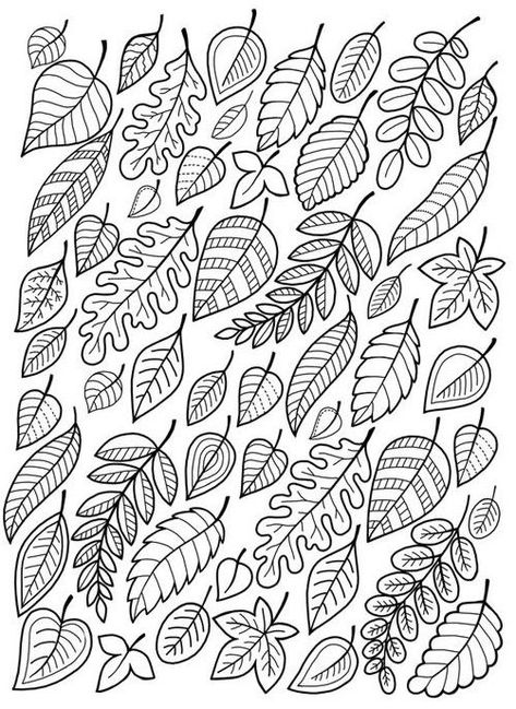 Free printable Fall coloring pages for use in your classroom or home from PrimaryGames Doodle Leaves Leaf Design, Foliage Drawing Leaves, Modele Zentangle, Leaves Coloring, Fall Leaves Coloring Pages, Doodle Leaves, Leaves Doodle, Leaf Coloring Page, Arte Doodle