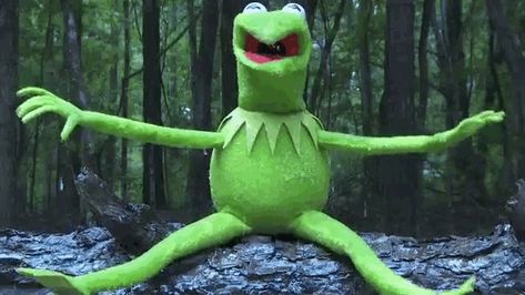 But it was for a good cause. | Community Post: Kermit The Frog Took The ALS Ice Bucket Challenge And It Was Awesome Kermit Gif, Memes Kermit, Sapo Kermit, Kermit The Frog Gif, Kermit Funny, The Muppet Show, Vince Mcmahon, Miss Piggy, Kermit The Frog