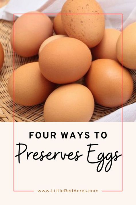 Preserve eggs this spring and summer to have eggs this winter without having to go buy them. Pick the method that works best for you. Preserve Eggs, Homestead Food, Preserving Eggs, Lime Water, Canning Supplies, Laying Hens, Farm Eggs, Farm Fresh Eggs, Start A Business