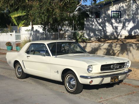 One Owner Until 2023: 1965 Ford Mustang Hardtop | Hemmings.com 1960s Ford Mustang, 60s Mustang, Culture Landscape, Johnny Cade, 1965 Ford Mustang, 70s Cars, 1966 Ford Mustang, 1964 Ford, 60th Anniversary