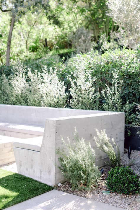 Plaster Bench Seat, Built In Concrete Seating, Concrete Bbq Bench, Outdoor Built In Bench, Concrete Seating Outdoor, Concrete Outdoor Bench, Concrete Bench Outdoor, Desert Plants Landscaping, Built In Garden Seating