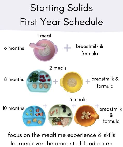 Cool Baby Gifts, Baby Weaning Foods, Starting Solids Baby, Pediatric Nutrition, Baby Led Weaning First Foods, Baby First Foods, Baby Led Weaning Recipes, Healthy Baby Food, Newborn Baby Tips