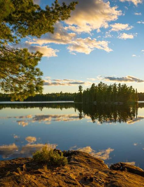 Bwca Boundary Waters, Boundary Waters Minnesota, Boundary Waters Canoe Area Wilderness, Minnesota Camping, Boundary Waters Canoe Area, Boundary Waters, Curiosity Cabinet, Minnesota Travel, Water Aesthetic