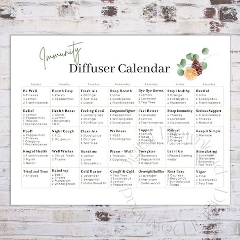 Diffuser Blends Young Living, Essential List, Essential Oils Business, Essential Oil Accessories, Essential Oil Diffuser Blends Recipes, Young Living Essential Oils Recipes, Yl Oils, Essential Oils Guide, Essential Oil Diffuser Recipes