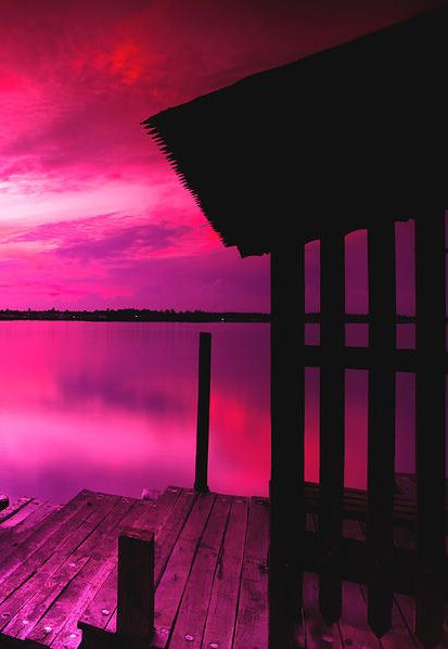 Aesthetic Cybercore, Pretty Sunsets, Pink And Black Wallpaper, Pink Sunrise, Pink Board, Notion Dashboard, Rose Fushia, Pink Nature, Pink Wallpaper Backgrounds