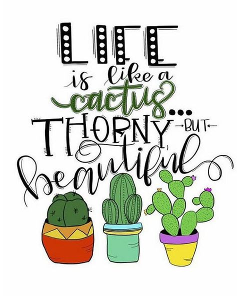 Be a cactus in a world full of flowers  #MondayMotivation Inspirational Quotes Calligraphy, Cactus Quotes, Cactus Craft, Plants Quotes, Calligraphy Print, Calligraphy Quotes, Cactus Art, Quote Life, Cactus Print