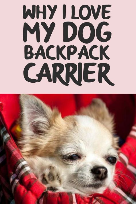 Dog backpack carrier is a type of rag suck that you sit your pet in and carry her in, whether at the front or at the back. Here's what I love about it. Diy Dog Carrier, Pet Carrier Diy, Diy Dog Backpack, Dog Carrier Pattern, Dog Carrying Bag, Dog Backpack Carrier, Dog Travel Accessories, Small Dog Carrier, Puppy Carrier