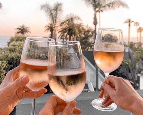 Sugar Free Wine, Aesthetic Wine, Wine Aesthetic, Rosé Wine, Wine Photography, Wine Preserver, What A Beautiful Day, Natural Wine, 2022 Vision Board