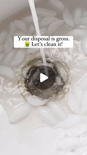 Clean Garbage Disposal, Garbage Disposal Cleaning, Trash Disposal, Garbage Disposal, To The End, Household Hacks, Simple Tricks, Cleaning Tips, Keep It Cleaner