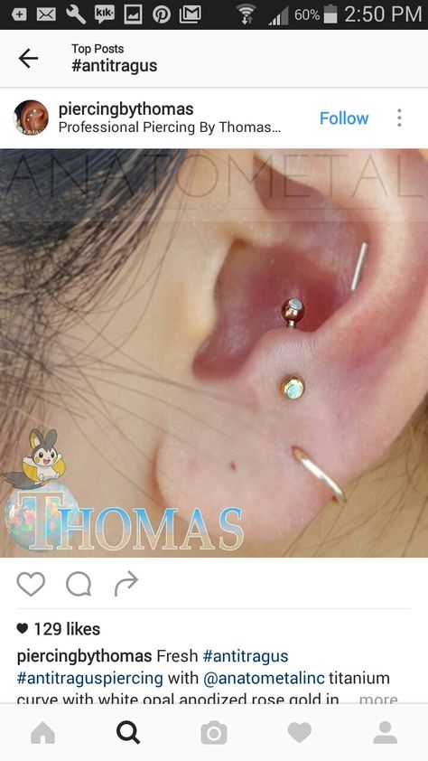 Tragus Piercing Ideas, Pretty Piercings, Anti Tragus Piercing, Anti Tragus, Face Piercings, Tragus Piercing, Piercing Ideas, Tragus Piercings, Tragus