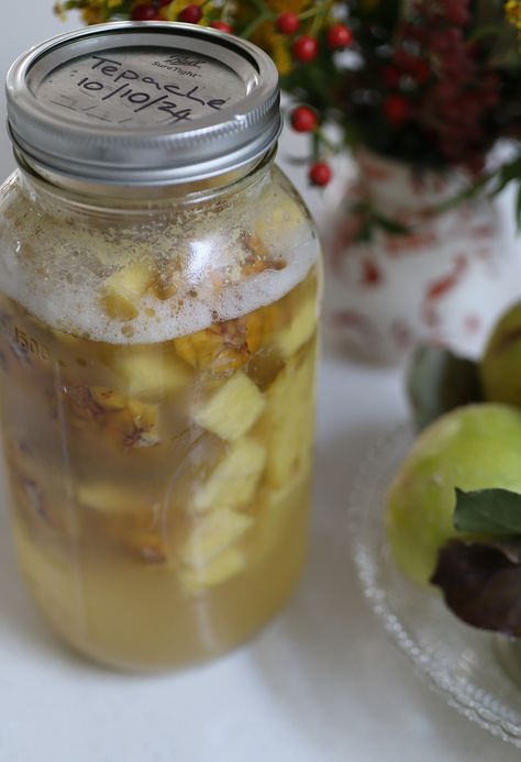 Tepache: An Easy Recipe for the Popular Pineapple-Based Mexican Drink Tepache Recipe, Edible Grass, Diy Curb Appeal, Probiotic Drinks, Mexican Drinks, Gardening Trends, Perennial Shrubs, Planting Hydrangeas, Garden Animals