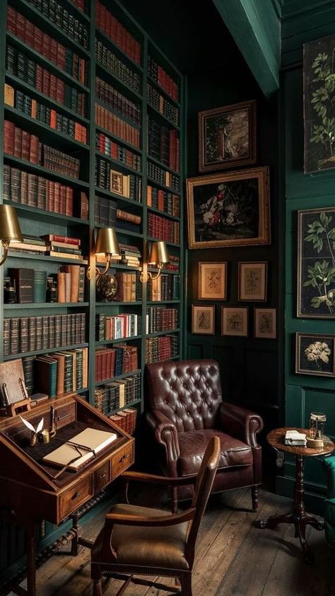 Academic Library Aesthetic, English Country Library, Office Bookcase Styling, 1800s Library, Home Library Inspiration, Green Library Aesthetic, Victorian Library Aesthetic, Gothic Library Aesthetic, Old Library Room