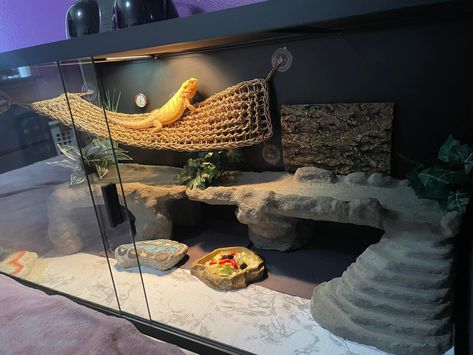 2 Story Bearded Dragon Tank, Bioactive Bearded Dragon Enclosure, Aesthetic Bearded Dragon Cage, Bearded Dragon Enclosure Ideas Aesthetic, Bearded Dragon Enclosure Ideas 4x2x2, Beared Dragon Cage Ideas, Beardie Enclosure Ideas, Breaded Dragon Tank Ideas, Diy Bearded Dragon Decor